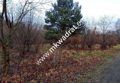 ⭐⭐⭐⭐  działka budowlana 1303 m budy grzybek ⭐⭐⭐⭐