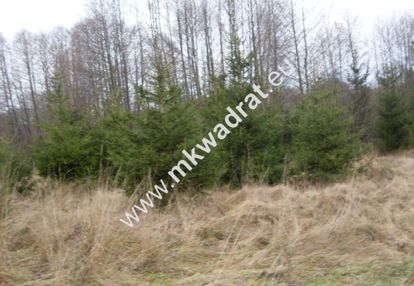 Działka z pozwoleniem na budowę