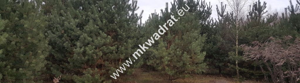 Działka 1157 m osowiec