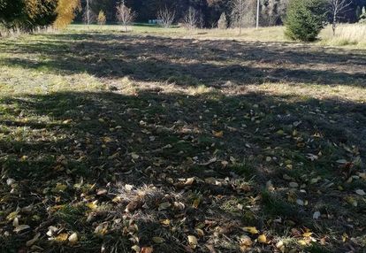 Działka budowlana 24ar w łazach biegonickich