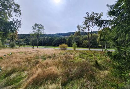 Działka budowlana w jarkowicach z widokiem na las