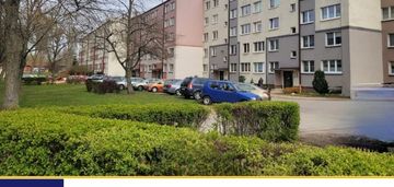 3 pokoje do własnej aranżacji - piasta