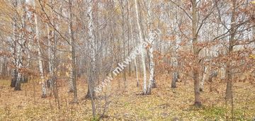 ⭐⭐⭐⭐działka siedliskowa z wz na dom + bud.gar⭐⭐⭐⭐