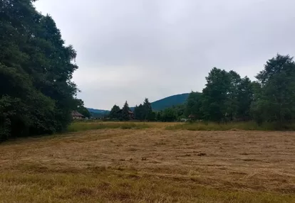 Działka na sprzedaż 3200m2