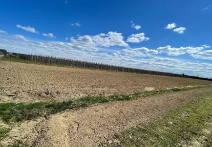 Działka na sprzedaż 4400m2