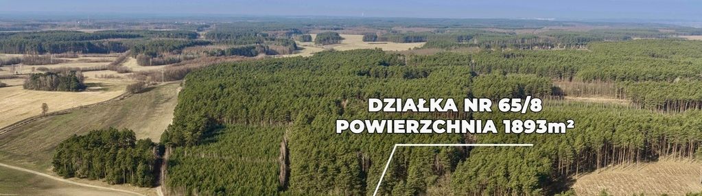 Działka przy lesie z warunkami zabudowy