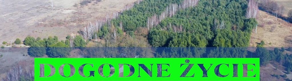 Zamieszkaj w dębniakach -idealnym miejscu na dom.