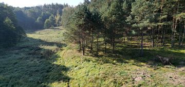 Działki nad rzeką gotelp/ pustki/ chojnicki