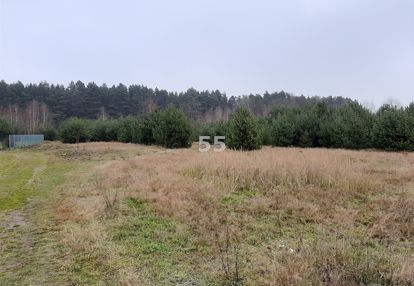 Działki budowlane świerczyna,gm.dłutów.