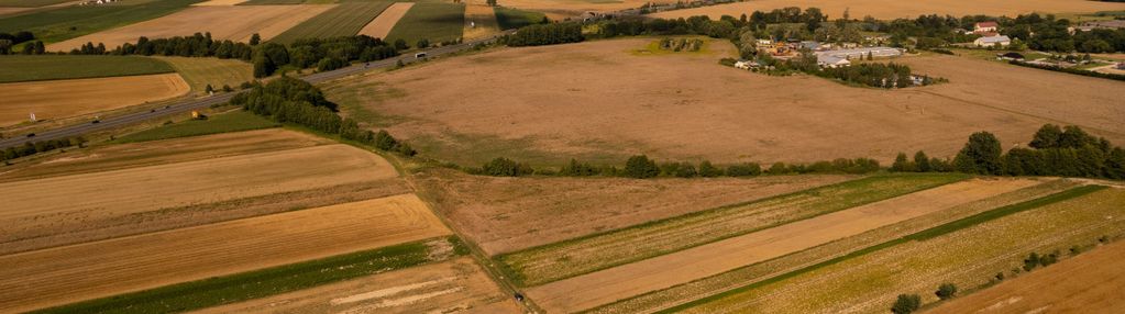 Działka 75 arów | mpzp – produkcja+ro|a |oleśnica