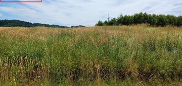 Paszyn działka budowlana 12,47ar