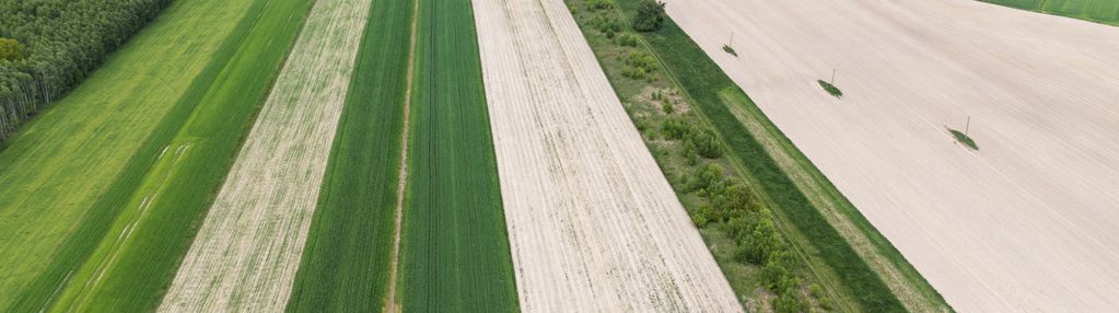Działka rolna na sprzedaż
