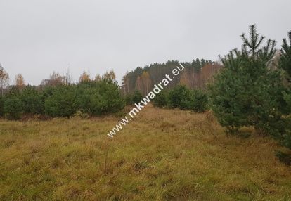 ⭐⭐⭐⭐urokliwa działka przy lesie mpzp media ⭐⭐⭐⭐