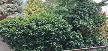 Wyjątkowe mieszkanie grochowskiego 52 m2
