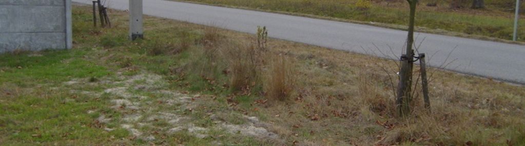 Działka inwestycyjna 11 000 m² w pobliżu trasy s8