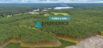 Unikalna posiadłość leśna (9,14 ha) w sercu kaszub