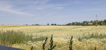 Działka 1752 m² z rozpoczętą budową domu 132 m²
