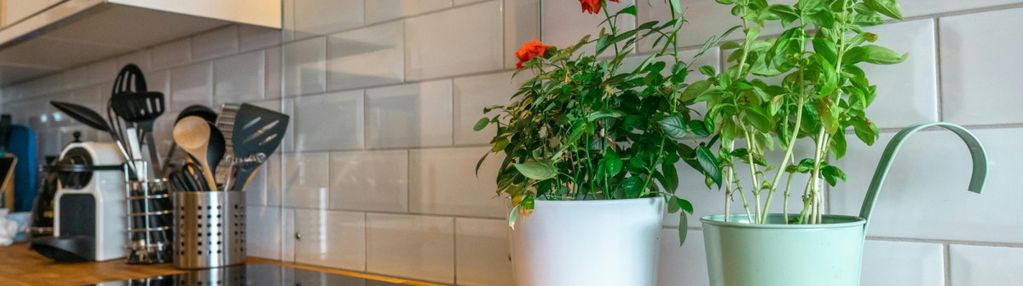 Atrakcyjne studio w top lokalizacji| brak prowizji