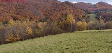 Działka rolno-leśna rytro 1,17ha połom niżna