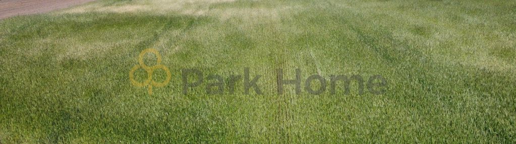 57 arów - mpzp - rawicz sarnowa