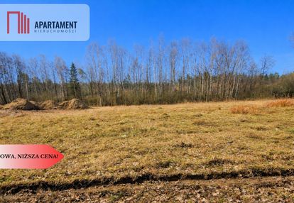 Nad jeziorem, przy lesie.