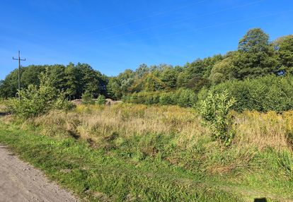 Trzy działki po 1500 w zboiskach z mpzp