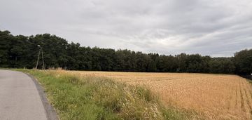 Duża działka z wz - wiele możliwości