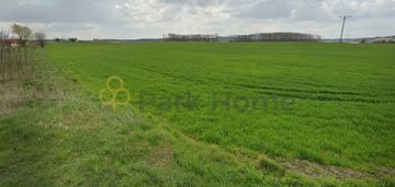 Duża działka na duży dom