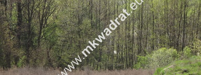 Kuklówka 3200m2 budowlana