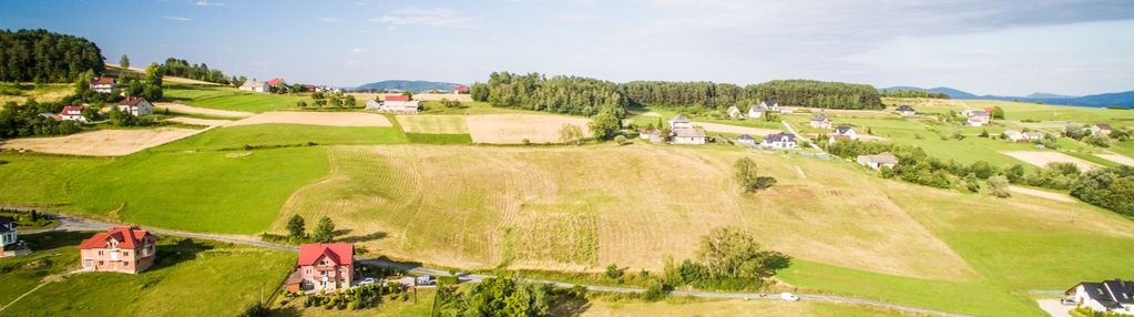 Działka rolno-budowlana o pow. 81 ar w brzeznej