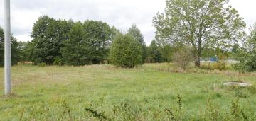 Duża działka myszaki