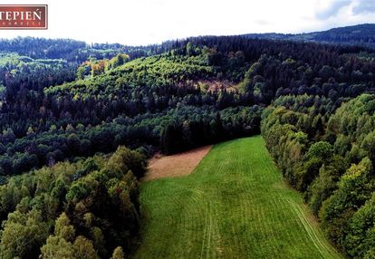 Szarocin | 1530 m² | cisza, las i górskie widoki