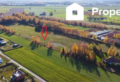 Działki budowlane budy trzcińskie koło skierniewic
