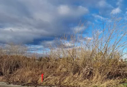 Działka na sprzedaż 3000m2