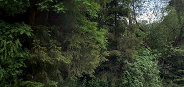 Dom, działka pod inwestycje ,ranczo, siedlisko ,