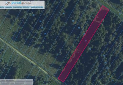 Sprzedam działki leśne w borkach-kosy