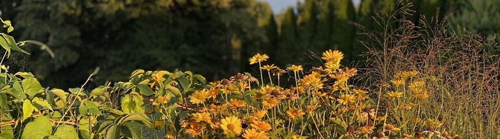 Działka budowlana na sprzedaż w opolu _ żerkowice