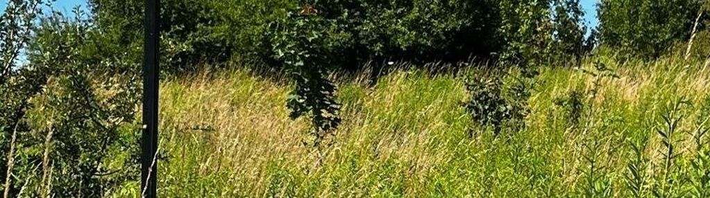 Działka bąkowo - 10 minut od miasta