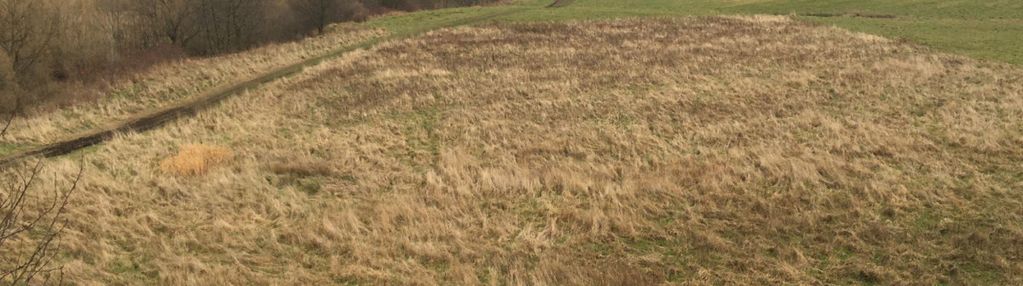 Widokowa działka inwestycyjna w głuszycy!