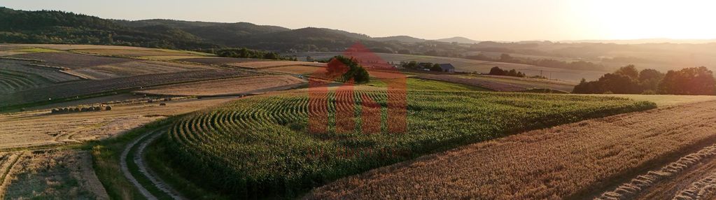 Działka na sprzedaż 26arow brzeziny, gmina wielopole skrzyńskie