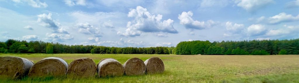 Działki budowlane, straduń