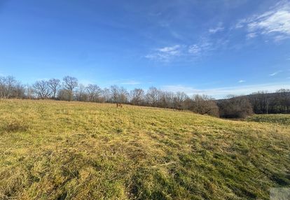 Tarnawce działka budowlana