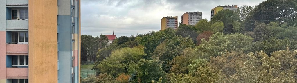 2 duże pokoje i kuchnia - z widokiem na zieleń