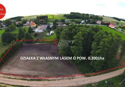 Działki kożuchy wielkie z lasem!