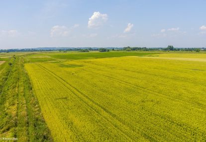 Działka rolna szczurowa- brzesko-małopolska