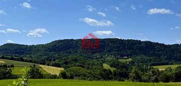 Działka na sprzedaż brzeziny, gmina wielopole skrzyńskie powierzchnia:30 ary (3000 m²)