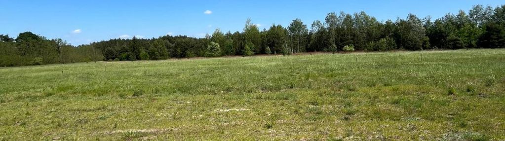 Duża działka 1130 m2, wz, projekt domu.