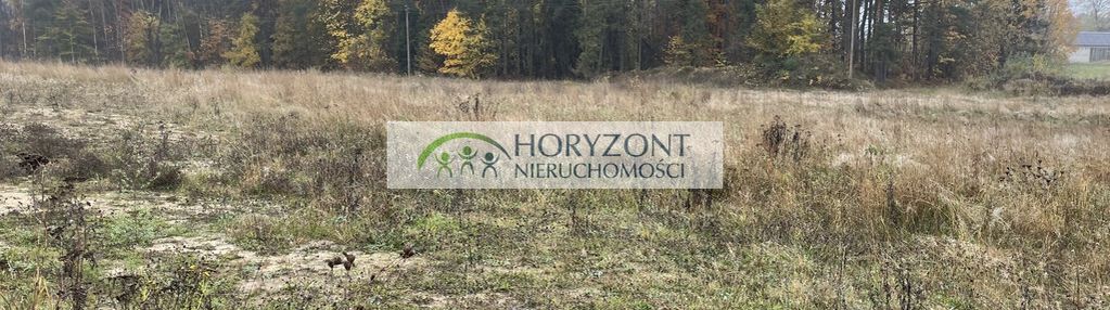 Kamień - działka przy zagajniku