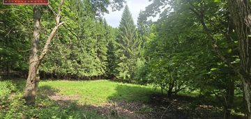 Jagniątków - tuż przy karkonoskim parku narodowym
