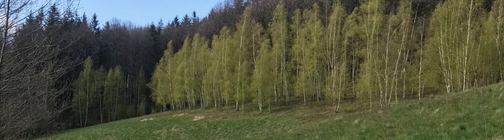 Działka/ rekreacyjna/siedliskowa